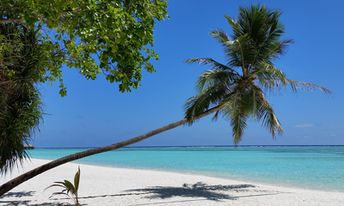 Maldives, Meeru Island Resort, beach