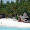 Maldives, Thulhagiri beach, palms