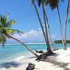 Maldives, Thulusdhoo beach, palm over water