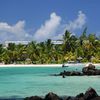 Mauritius island, Blue Bay beach, palm trees