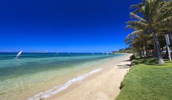 New Caledonia, Grande Terre, Anse Vata beach, grass