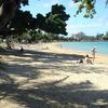 New Caledonia, Grande Terre, Baie des Citrons beach, shadow