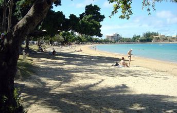 New Caledonia, Grande Terre, Baie des Citrons beach, shadow