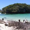 New Caledonia, Grande Terre, Kuto beach, snag