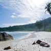 Seychelles, La Digue, Anse Cocos beach, palms