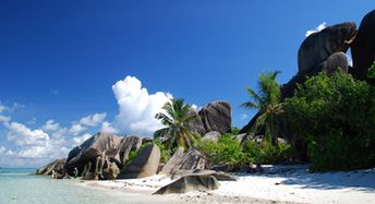 Seychelles, La Digue, Anse Source d'Argent beach, palms