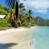 Seychelles, Praslin, Anse La Blague beach, palms