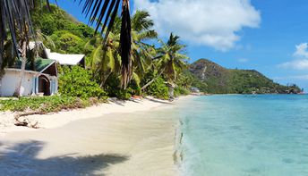 Seychelles, Praslin, Anse La Blague beach, palms