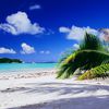 Seychelles, Praslin, Anse Volbert beach, palms