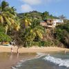 Trinidad and Tobago, Tobago, Castara Bay beach, palms