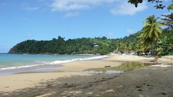 Trinidad and Tobago, Tobago, Castara Bay beach, wet sand