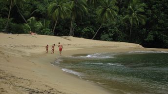 Trinidad and Tobago, Tobago, Englishman's Bay beach, wet sand