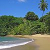 Trinidad and Tobago, Tobago, Parlatuvier Bay beach, wet sand