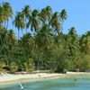 Trinidad and Tobago, Tobago, Pigeon Point beach, palms