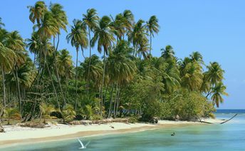 Trinidad and Tobago, Tobago, Pigeon Point beach, palms