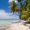 Trinidad and Tobago, Tobago, Pigeon Point beach, seagrass