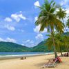 Trinidad and Tobago, Trinidad, Maracas Bay beach, palms