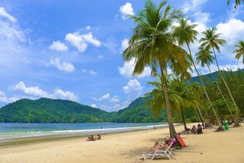 Trinidad and Tobago, Trinidad, Maracas Bay beach, palms