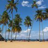 Trinidad, Maracas Bay beach, palms