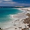 USA, California, Channel Islands, San Miguel island, sea lions