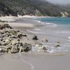 USA, California, Channel Islands, San Miguel island, wet sand