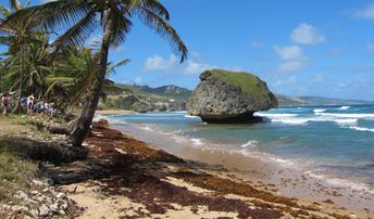 Barbados, Bathsheba beach