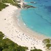 Bermuda, Horseshoe Bay beach, aerial view