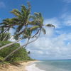 Fiji, Yasawa Islands, Naviti island, palm beach