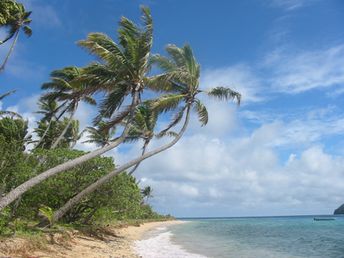 Фиджи, острова Ясава, остров Нэвити, пляж с пальмами