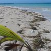 Фиджи, острова Ясава, остров Тавева, пляж, песок