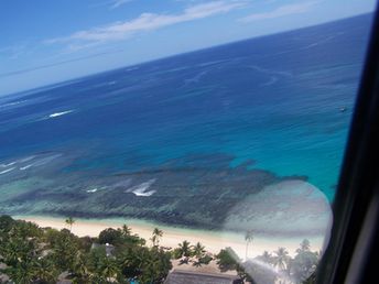 Fiji, Yasawa Islands, Viwa island, beach, aerial view