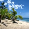 Фиджи, острова Ясава, остров Вайя, отель Octopus Resort, пальмы на пляже