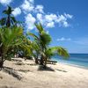 Fiji, Yasawa Islands, Waya island, Octopus Resort, palm beach