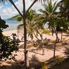 Fiji, Yasawa Islands, Waya Lailai island, beach, palm trees