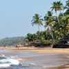 Goa, Ashwem beach, palms