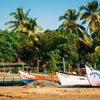 Goa, Morjim beach, palms