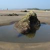 India, Goa, Ashwem beach, rock pool