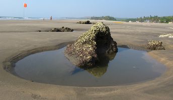 India, Goa, Ashwem beach, rock pool