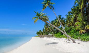 Maldives, Ari Atoll, Alifu Alifu, Himandhoo beach