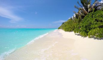 Maldives, Ari Atoll, Alifu Alifu, Thoddoo beach