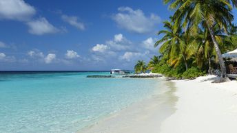 Maldives, Ari Atoll, Alifu Alifu, Velidhu beach