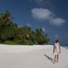 Мальдивы, Пляж Дхуни-Колху, пальмы