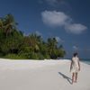 Maldives, Dhuni Kolhu beach, palms