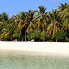 Maldives, Horubadhoo beach, palms