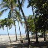 Никарагуа, Пляж Монтелимар, пальмы