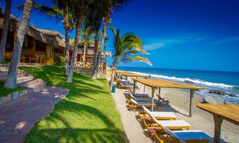 Peru, Mancora region, Las Pocitas beach, palms