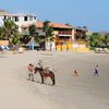 Peru, Mancora region, Mancora beach, horse