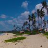 Tanzania, Dar es Salaam, Coco beach, palms