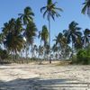 Tanzania, Mtwara, Msangamkuu beach