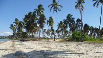 Tanzania, Mtwara, Msangamkuu beach